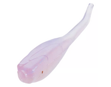 Load image into Gallery viewer, Bobby Garland Baby Shad 2"