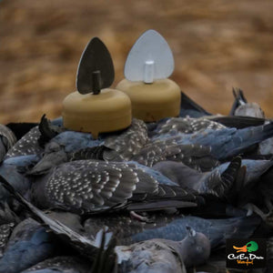 Mojo Dove a Flicker 4 Pack