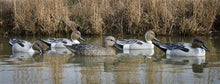 Load image into Gallery viewer, Higdon Outdoors Standard Pintail Foam Filled