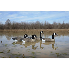 Load image into Gallery viewer, Higdon Outdoors Full Size Canada Goose Floaters