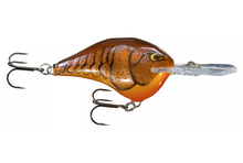 Load image into Gallery viewer, Rapala DT 4