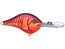 Load image into Gallery viewer, Rapala DT 8