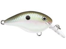 Load image into Gallery viewer, Rapala DT 10