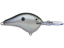 Load image into Gallery viewer, Rapala DT 8