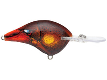 Load image into Gallery viewer, Rapala DT 8