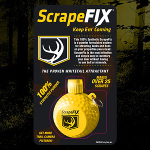 Scrape Fix Single